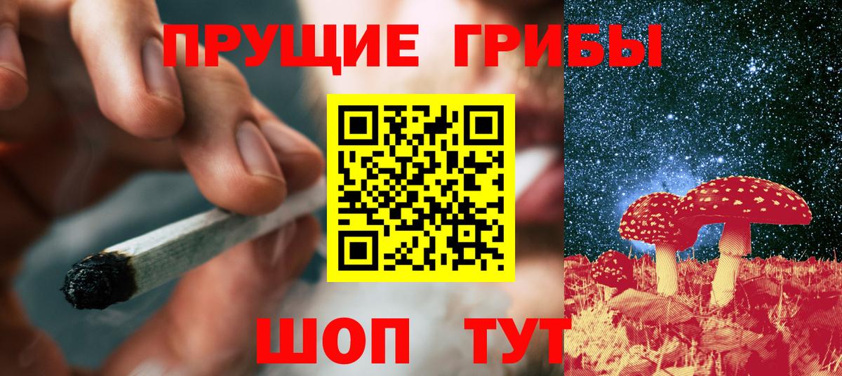 Киселёвск  Псилоцибиновые грибы Magic Shrooms  Вход с VPN 