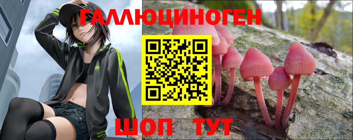 Псилоцибиновые грибы Киселёвск